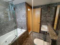 Suites @ Cairnhill (D9), Apartment #466919841